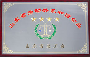 山東省勞動(dòng)關(guān)系和諧企業(yè) 山東省勞動(dòng)關(guān)系和諧企業(yè)